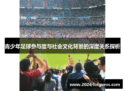 青少年足球参与度与社会文化背景的深度关系探析