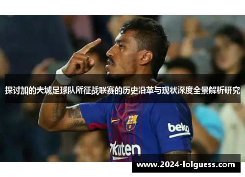 探讨加的夫城足球队所征战联赛的历史沿革与现状深度全景解析研究